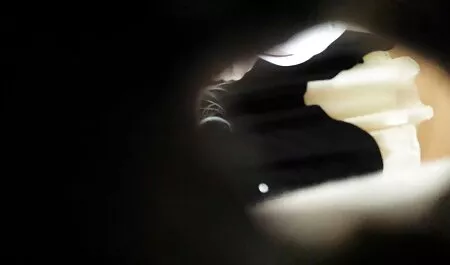 Játék egy játék panda online szexfilm egy nagy fasz