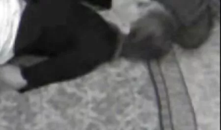 Gaycastings Bjorn Manning megpróbálja az első pornó online filmek xxx casting ügynök.