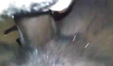 Aranyos Ázsiai pinába élvezés pornó Tizenéves csatlakozzon